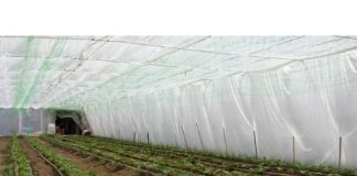 Foloseste plasticul de mulcire corespunzator