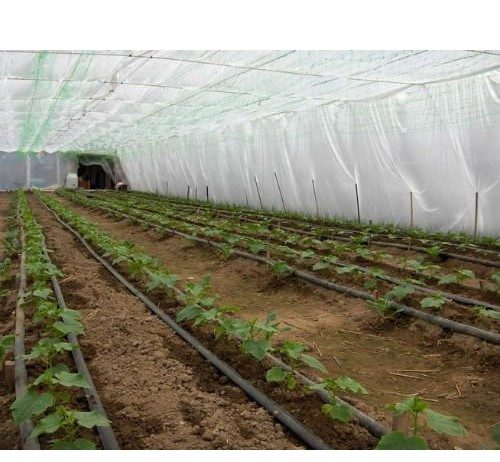 Foloseste plasticul de mulcire corespunzator