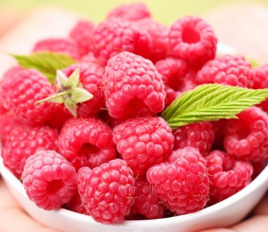 Zmeura, tipuri si sfaturi de conservare